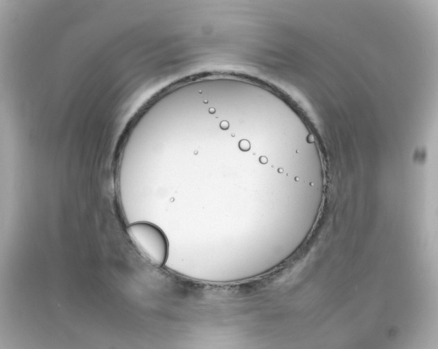 X0000092090887200709121123