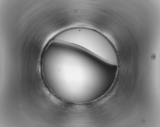 X0000092090888200709121123
