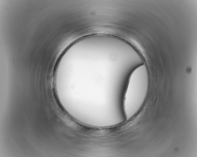 X0000092090891200709121123