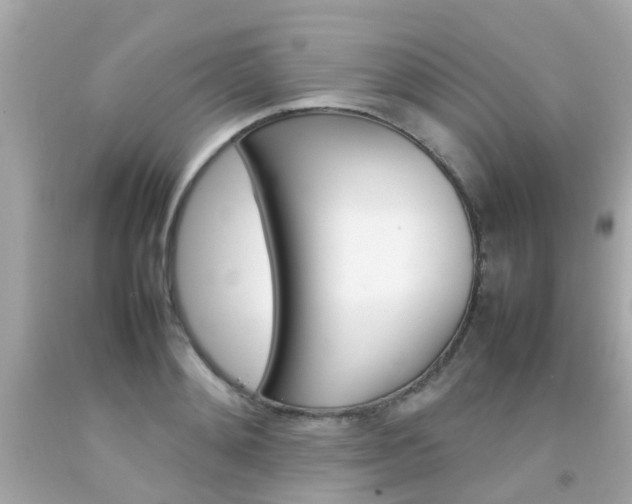 X0000092090892200709121123