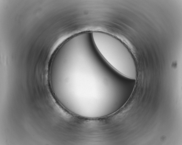 X0000092090894200709121123