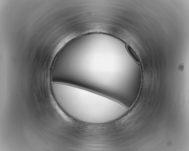 X0000092090898200709121123