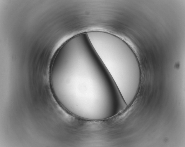 X0000092090902200709121123