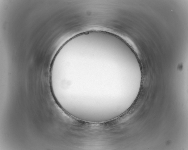 X0000092090903200709121123