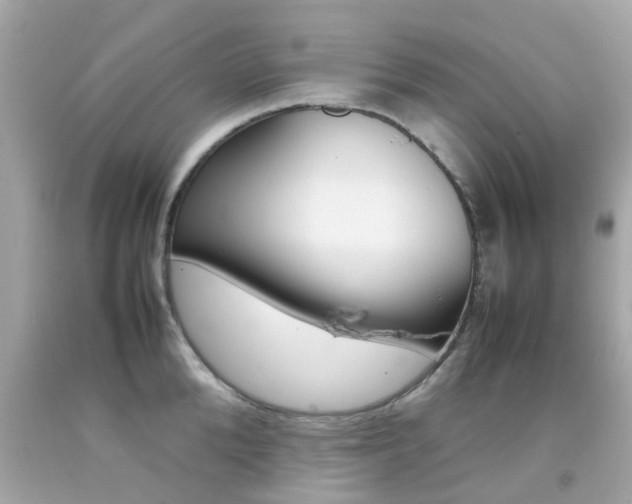 X0000092090904200709121123