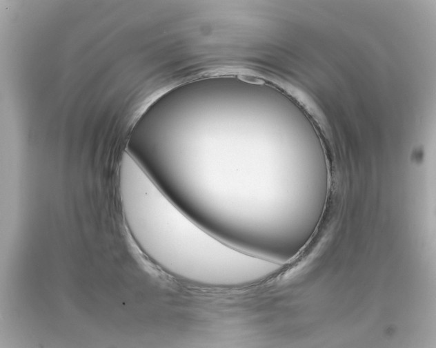 X0000092090905200709121123