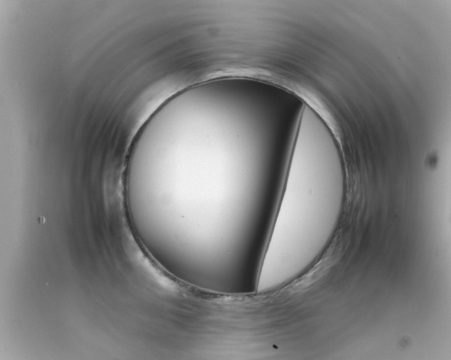 X0000092090906200709121123