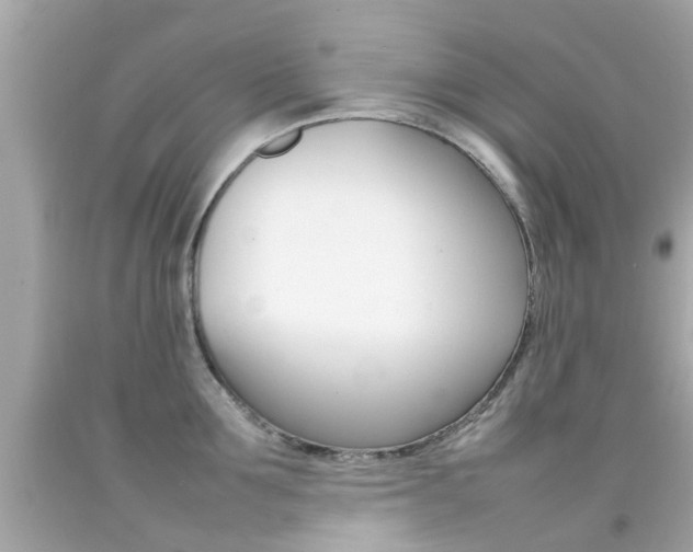 X0000092090907200709121123