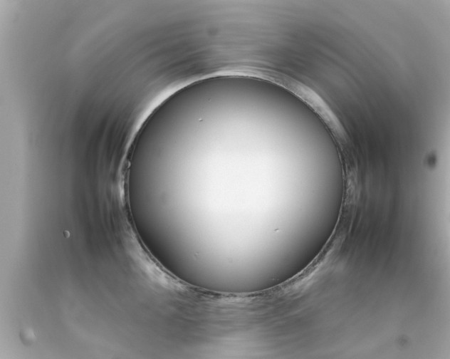 X0000092090908200709121123