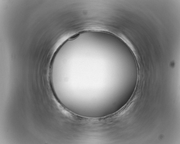 X0000092090909200709121123
