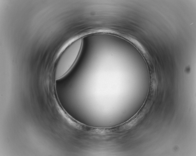 X0000092090910200709121123