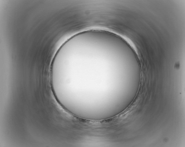 X0000092090911200709121123