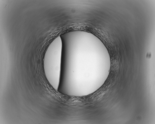 X0000092090913200709121123