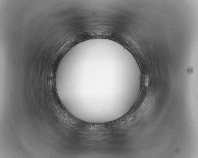 X0000092090915200709121123