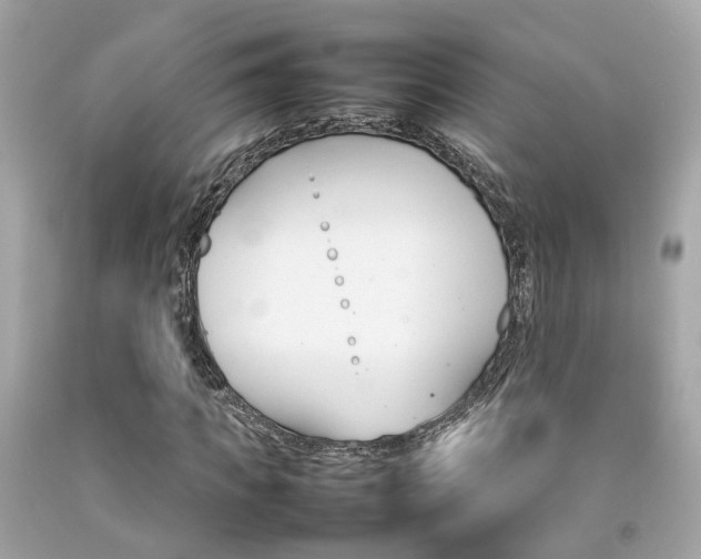 X0000092090917200709121123