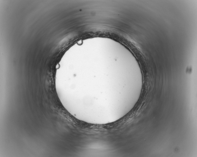 X0000092090918200709121123