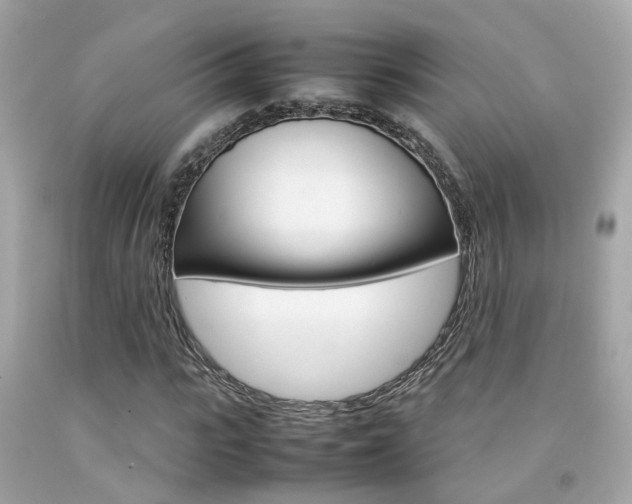 X0000092090919200709121123