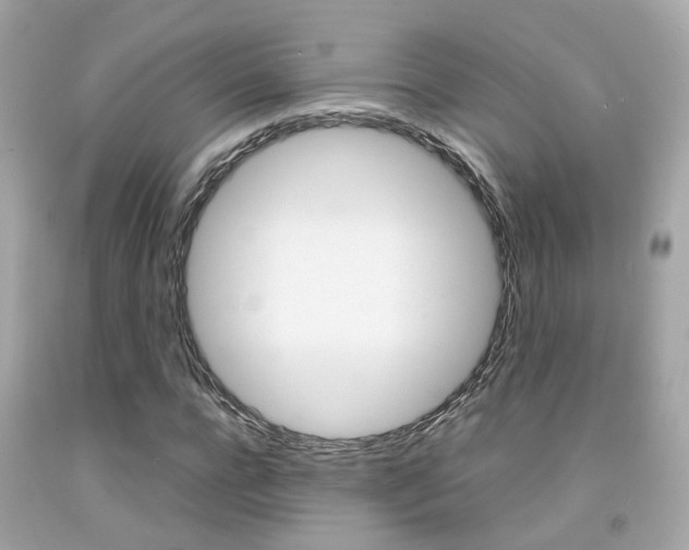 X0000092090920200709121123