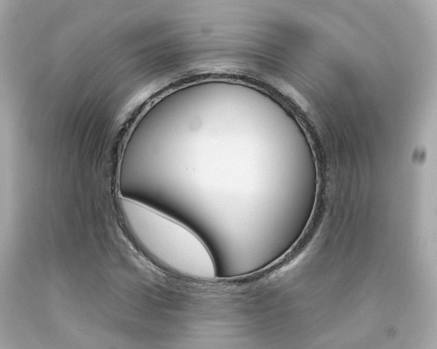 X0000092090922200709121123