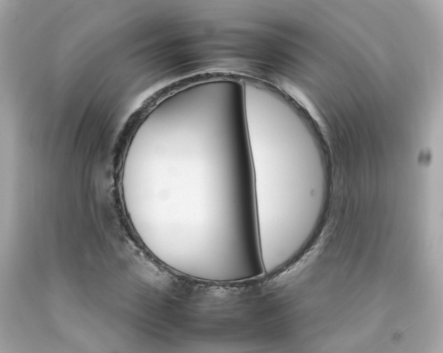 X0000092090923200709121123