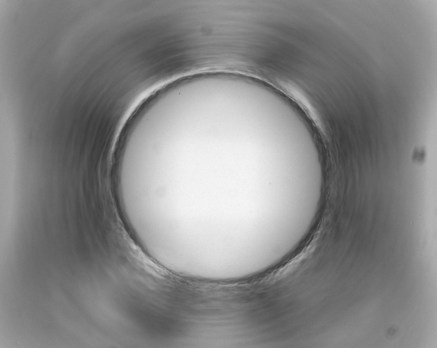 X0000092090924200709121123