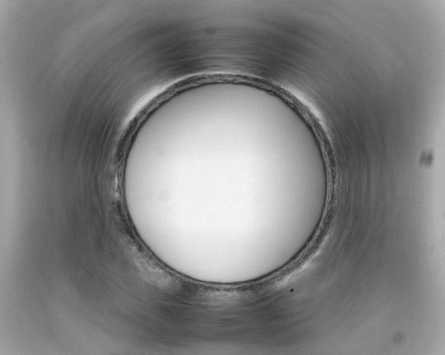 X0000092090925200709121123