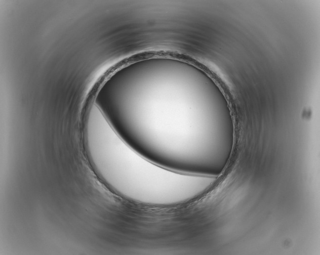 X0000092090927200709121123
