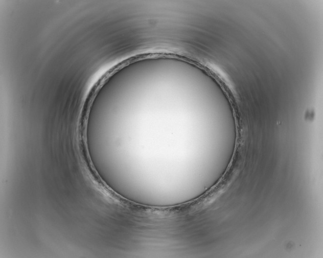 X0000092090928200709121123