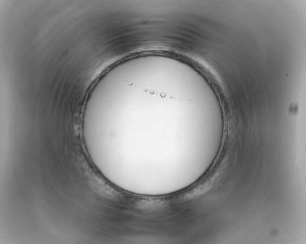 X0000092090929200709121123