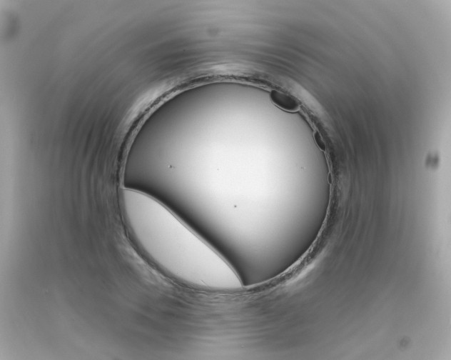 X0000092090930200709121123