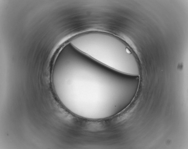X0000092090931200709121123