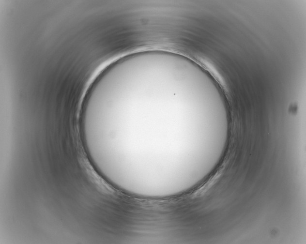 X0000092090932200709121123
