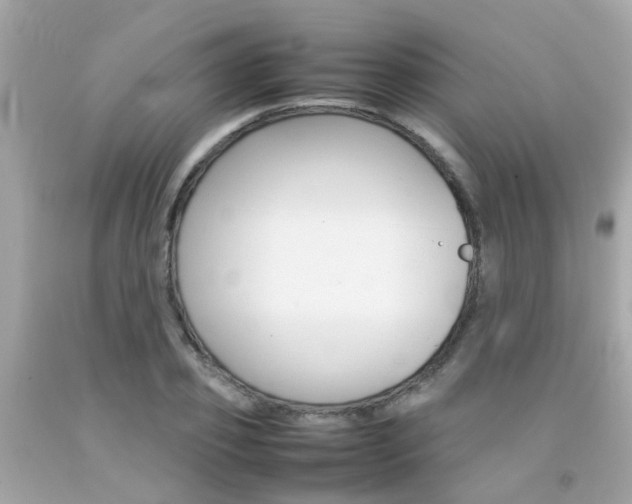 X0000092090933200709121123