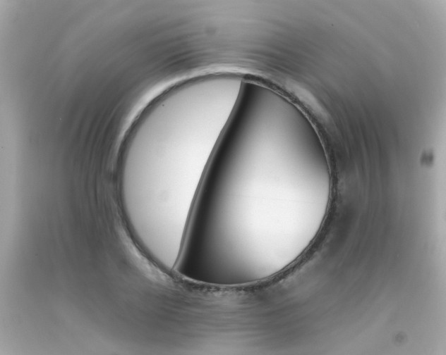X0000092090934200709121123