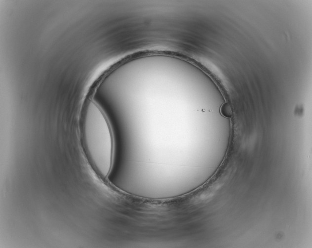 X0000092090935200709121123