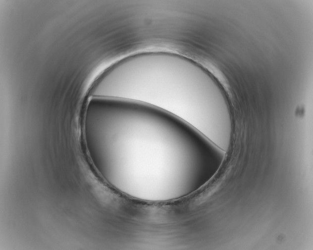 X0000092090936200709121123