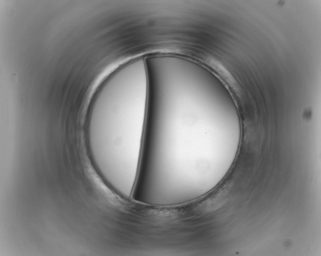 X0000092090939200709121123