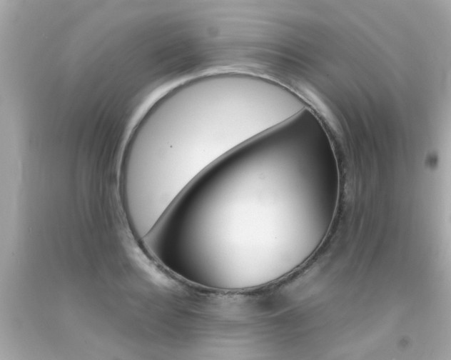 X0000092090940200709121123