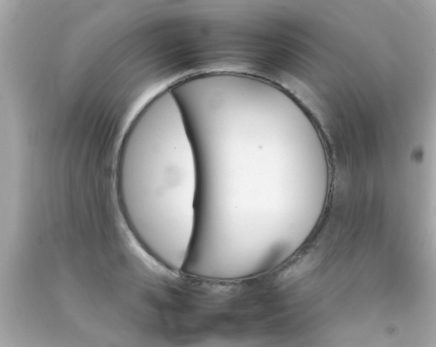 X0000092090941200709121123