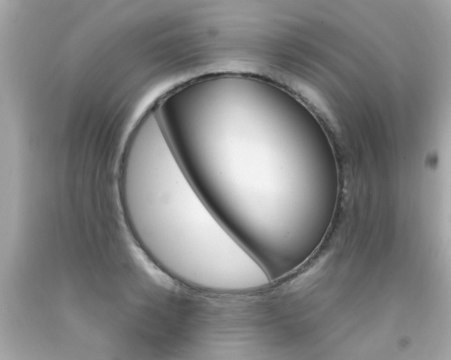 X0000092090942200709121123