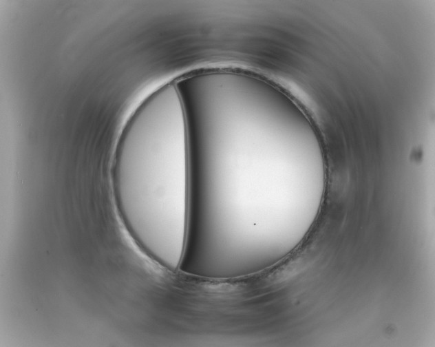 X0000092090943200709121123