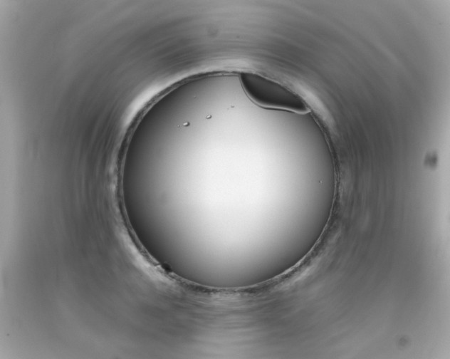 X0000092090944200709121123