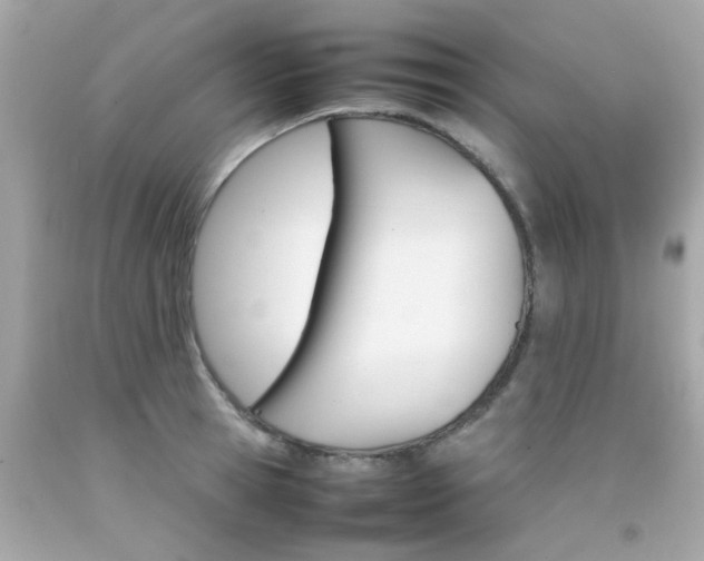 X0000092090945200709121123
