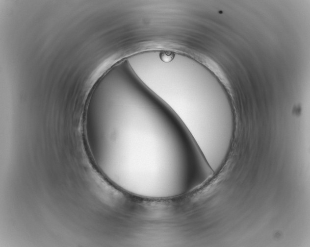 X0000092090946200709121123