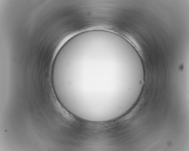 X0000092090948200709121123