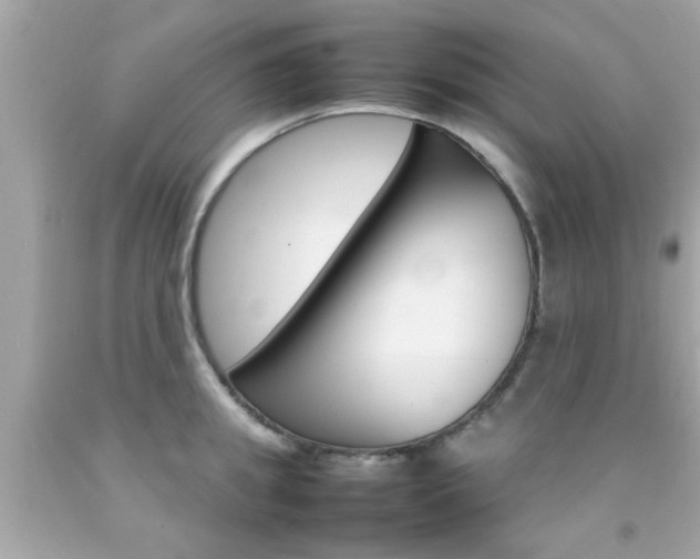 X0000092090949200709121123