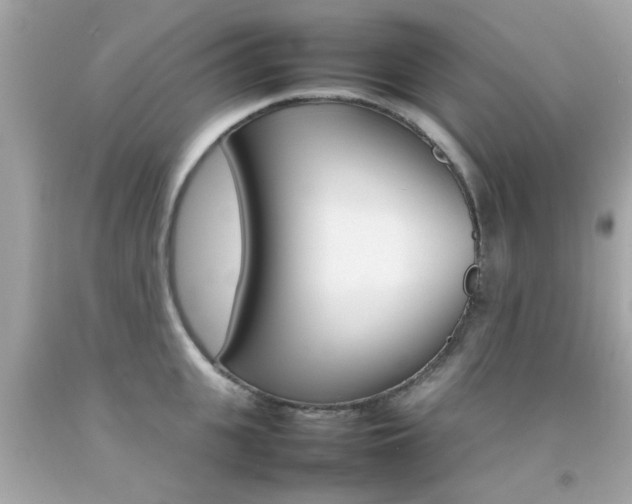 X0000092090951200709121123