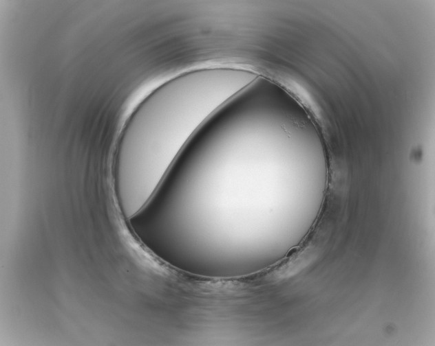 X0000092090952200709121123