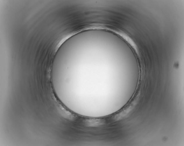 X0000092090953200709121123