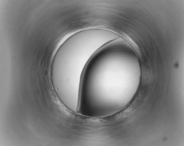 X0000092090956200709121123